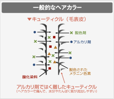 出典：http://www.8341.jp/