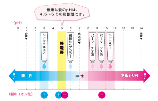 出典：http://www.demi.nicca.co.jp/index.pl