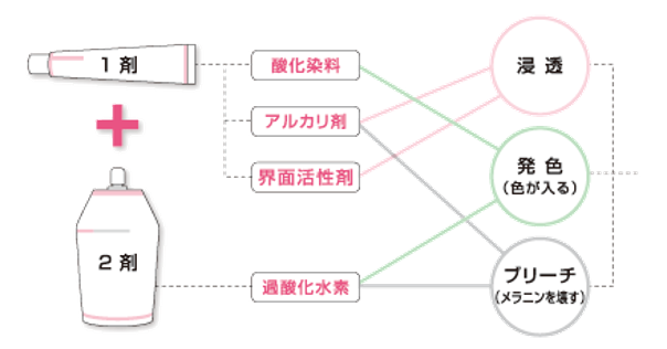 出典：http://www.demi.nicca.co.jp/index.pl