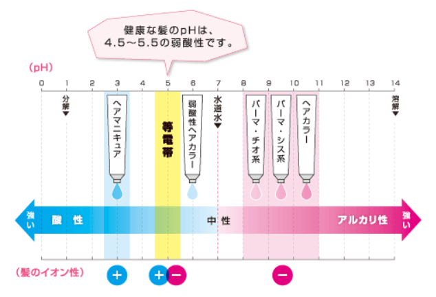 出典：http://www.demi.nicca.co.jp/