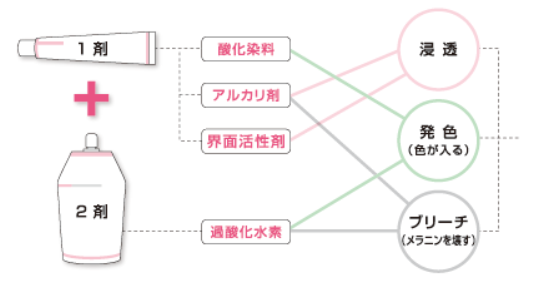 出典：http://www.demi.nicca.co.jp/