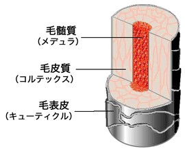 出典：http://www.lambdagrow.com/