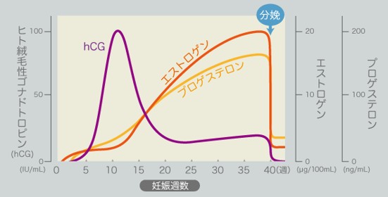 出典：https://www.premama.jp/