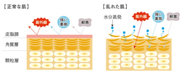 出典：http://www.demi.nicca.co.jp/