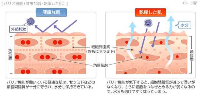 出典：https://www.daiichisankyo-hc.co.jp/