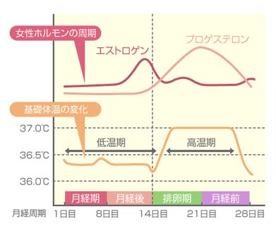 出典：http://www.bodybook.jp/