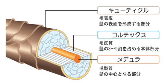 出典：http://www.shoku-do.jp/