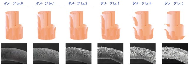 出典：http://pimseries.com/