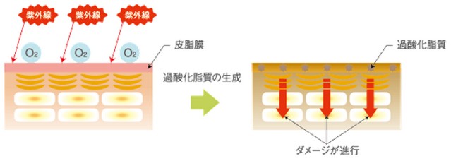 出典：http://www.demi.nicca.co.jp/