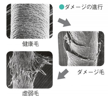 出典：https://ourage.jp/