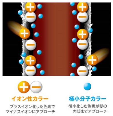 出典：https://www.dhc.co.jp/