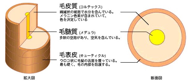 出典：http://hw001.spaaqs.ne.jp/tokoya/