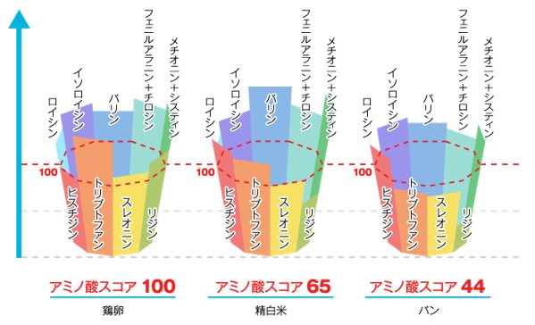 出典：https://www.jpnsport.go.jp/