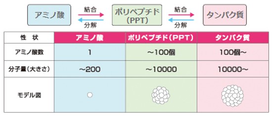 出典：http://www.demi.nicca.co.jp/index.pl