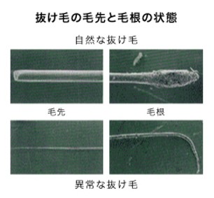 出典：https://www.kao.com/jp/