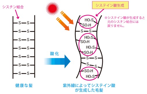 出典：http://www.demi.nicca.co.jp/