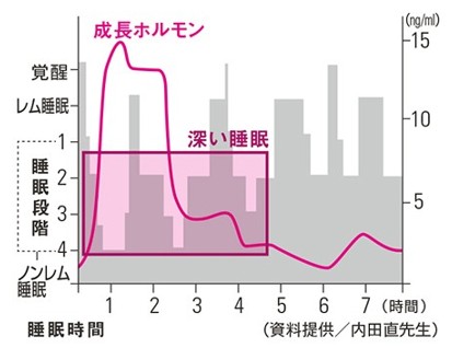 出典：https://www.bibeaute.com/