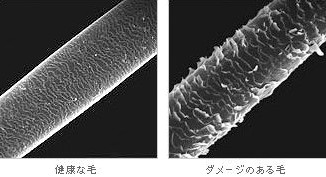 出典：http://dearium.jp/