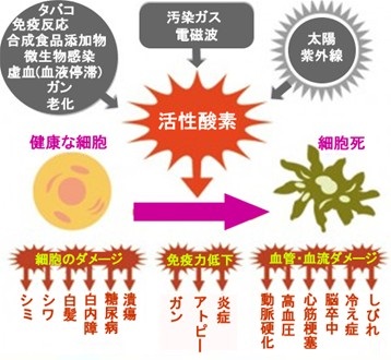 出典:http://www.saladcosmo.co.jp/blog/