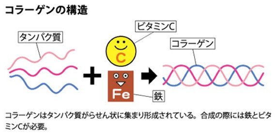 出典：https://www.selfdoctor.net/