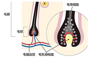 出典：https://news.yahoo.co.jp/