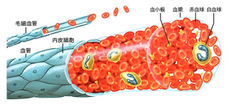 出典：http://www.ketsukyo.or.jp/