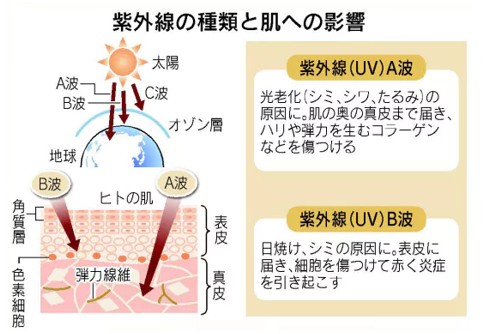 出典：https://style.nikkei.com/