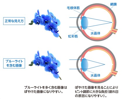 出典：https://takeda-kenko.jp/yakuhou/