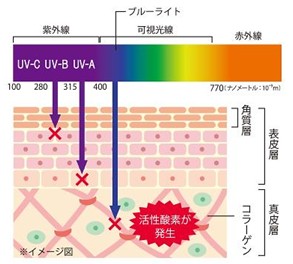 出典：http://www.kaoyaplus.com/