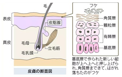 出典：https://style.nikkei.com/