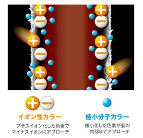 ※イオン性カラー=塩基性染料、極小分子カラー=HC染料のこと 出典:https://www.dhc.co.jp/