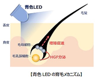 出典：http://www.naris.co.jp/