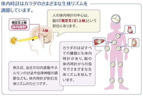 出典：http://www.takeda.co.jp/