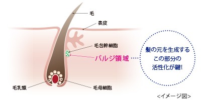 出典：https://www.munoage.com/