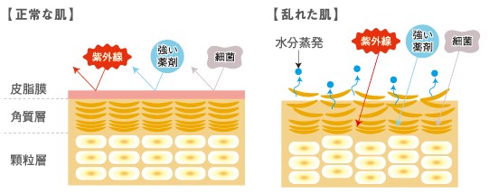 出典：http://www.demi.nicca.co.jp/