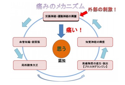 出典：https://ameblo.jp/naoki-osugi/