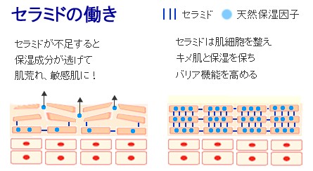 出典：https://www.silkys4.com/