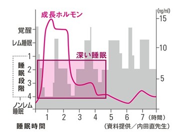 出典：https://www.bibeaute.com/