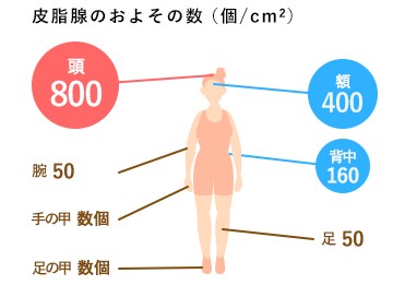 出典：https://www.well-lab.jp/