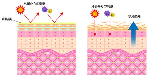 出典：https://dot.asahi.com/