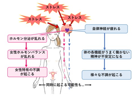 出典：http://bloomgarden-aroma.blog.jp/