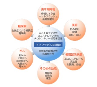 出典：https://www.fujicco.co.jp/know_enjoy/health/isoflavone/section1/03.html