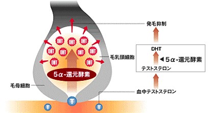 出典：https://blog.ti-da.net/