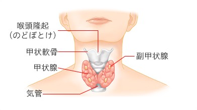 出典：https://kojosengan-hhc.jp/