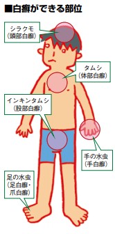 出典：https://www.yakult.co.jp/