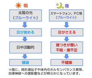 出典：http://kenkyu.wakasa.jp/