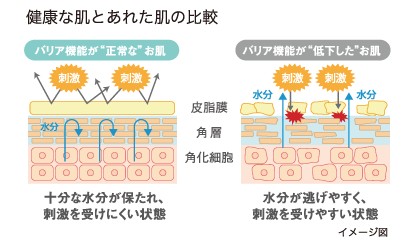 出典：https://noevirgroup.jp/nov/default.aspx