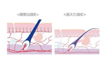 出典：https://ameblo.jp/amagasaki-spa1005/