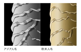 出典：https://www.kao.com/jp/