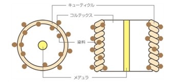 出典：https://www.siragazome.jp/